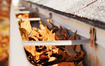 Frant gutter cleaning companies
