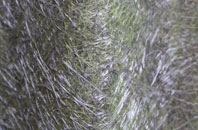 Frant fibreglass roof work